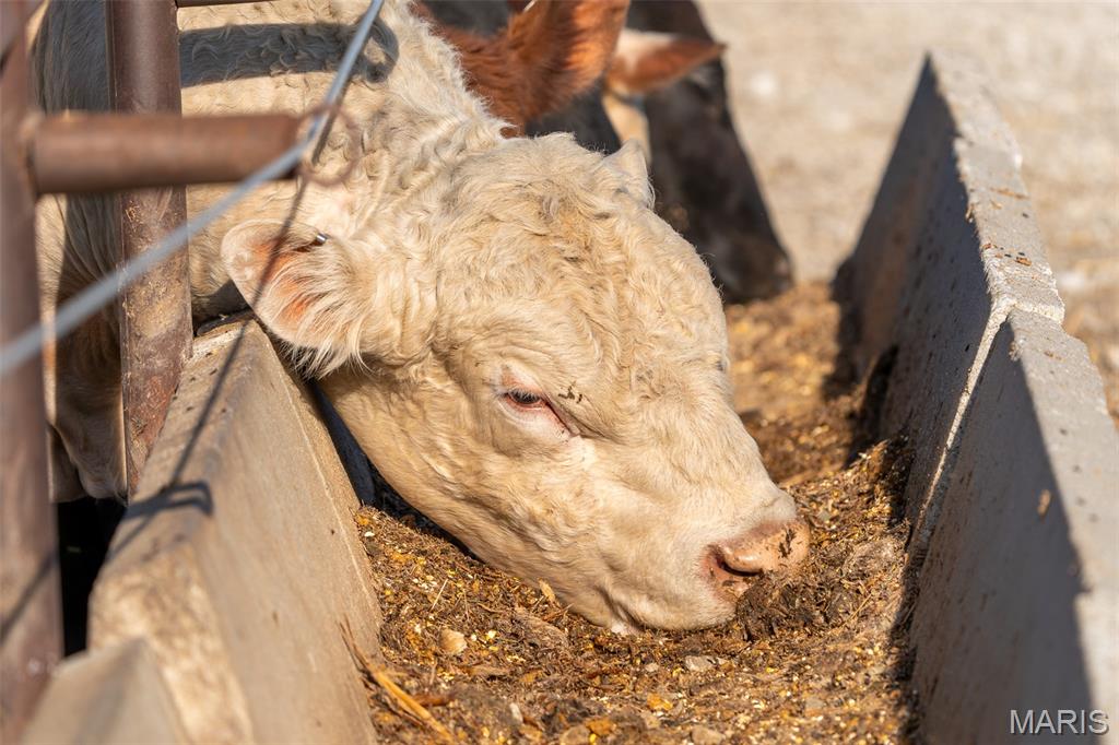 3292 South 107th Road Flemington, MO 65650 - Photo 68 of 69