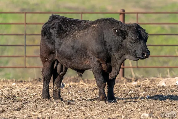 $2,900,000 | 3292 South 107th Road, Flemington, MO 65650