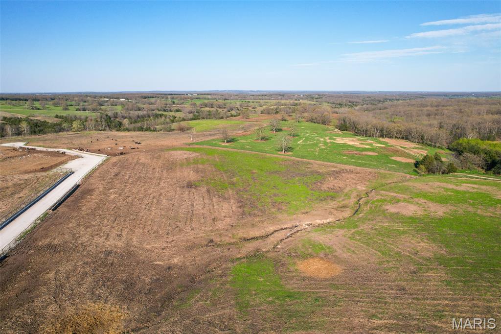 3292 South 107th Road Flemington, MO 65650 - Photo 9 of 69