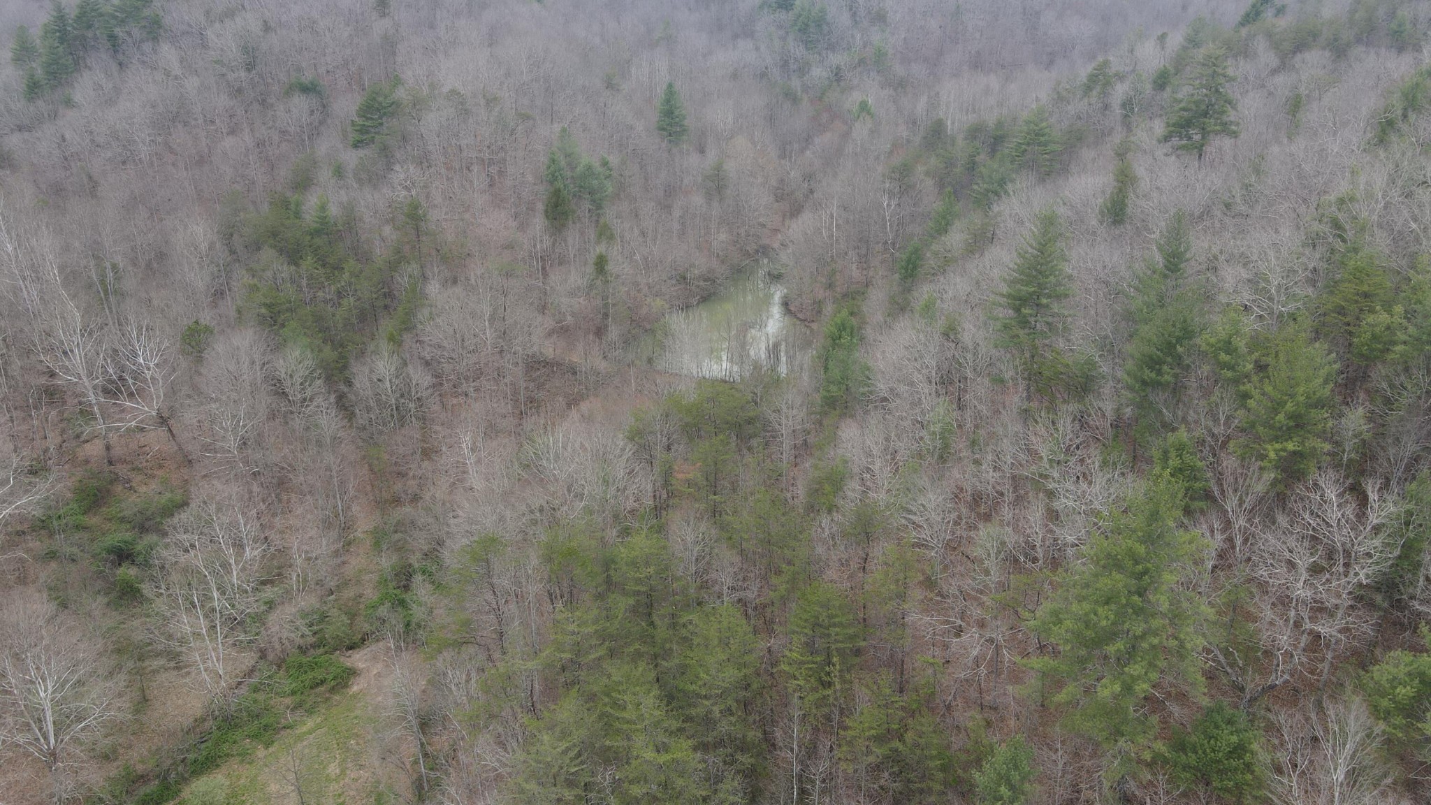 899 Morning Glory Road Oneida, TN 37841 - Photo 9 of 27