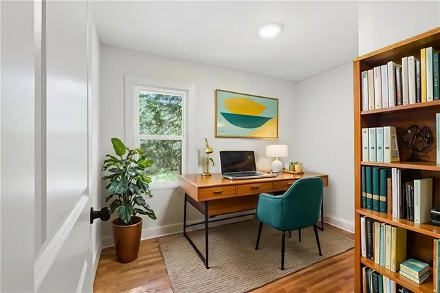 a living room with furniture a bookshelf and a potted plant