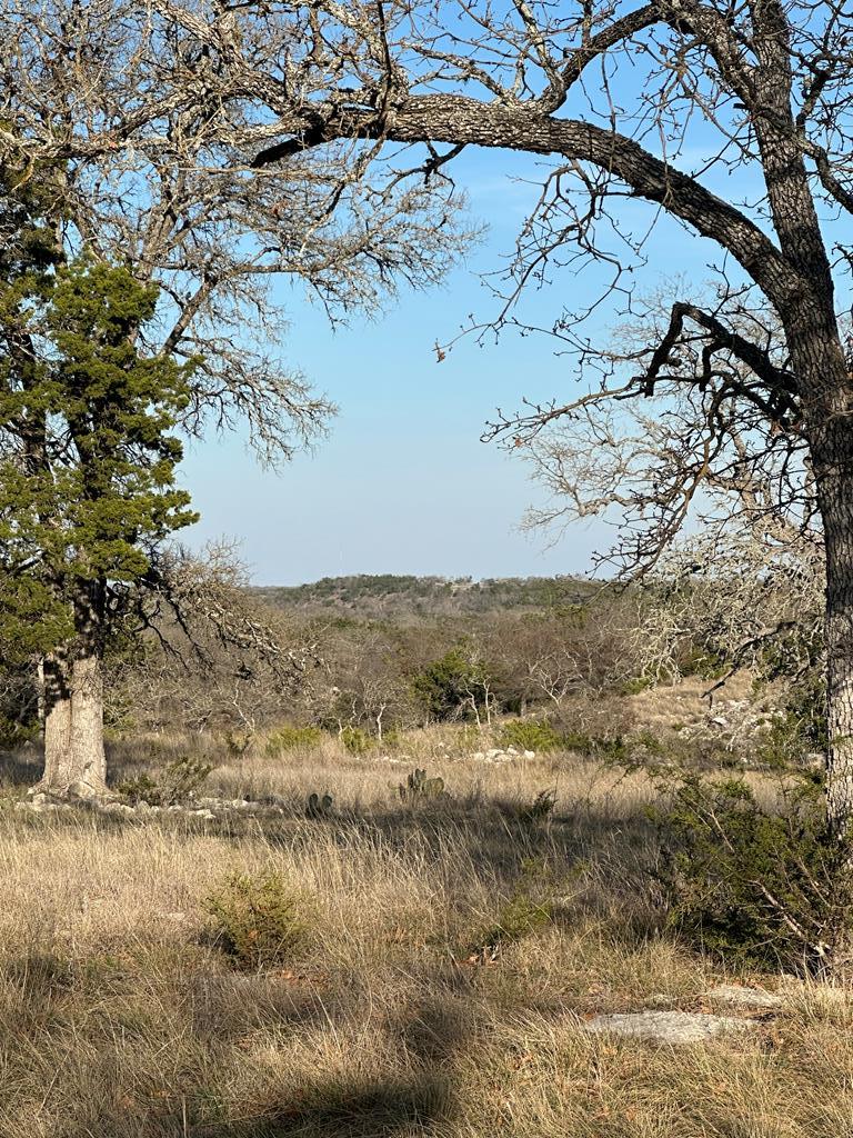 Lot # Cliff View Loop, Unit 59 Harper, TX 78631 - Photo 3 of 6 Lot 59