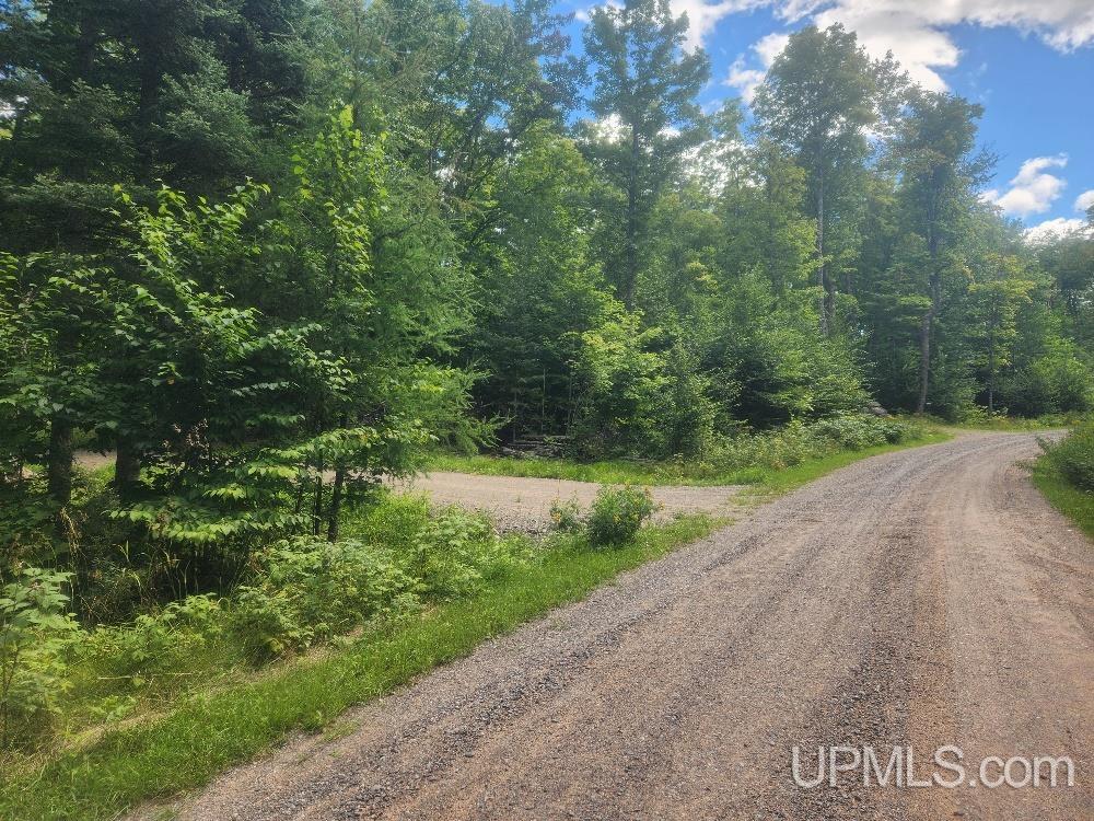 Tbd West Tamarack Lake Road, Unit LOT 5 Watersmeet, MI 49969 - Photo 62 of 66