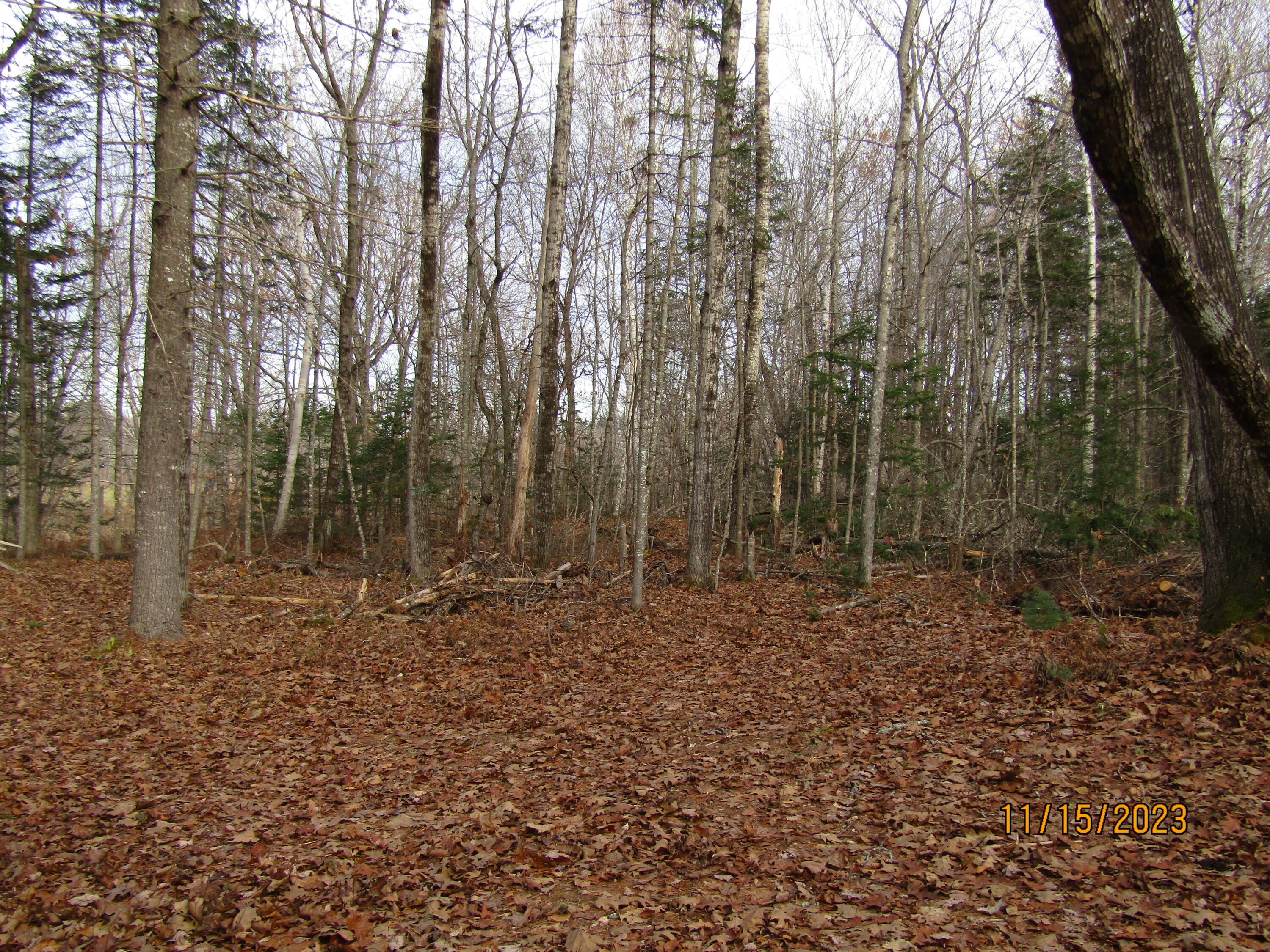 Lot 4-3 Joe Raymond Road Milo, ME 04463 - Photo 10 of 12 IMG_0541