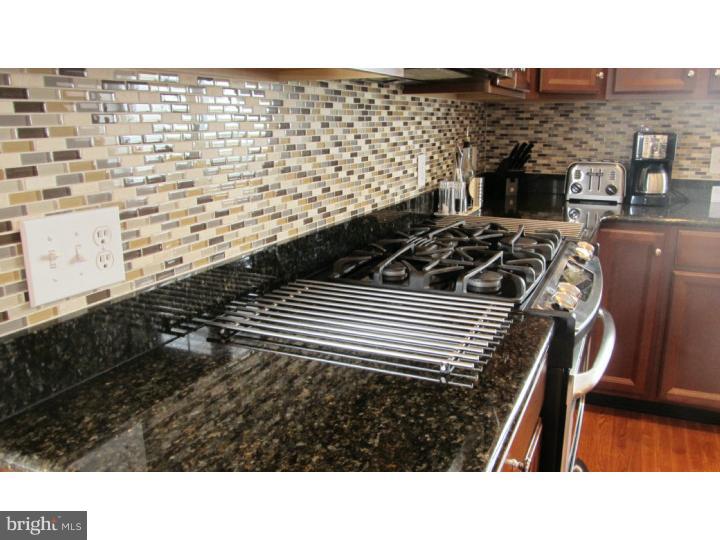 716 Churchill Road Chester Springs, PA 19425 - Photo 14 of 25 Kitchen