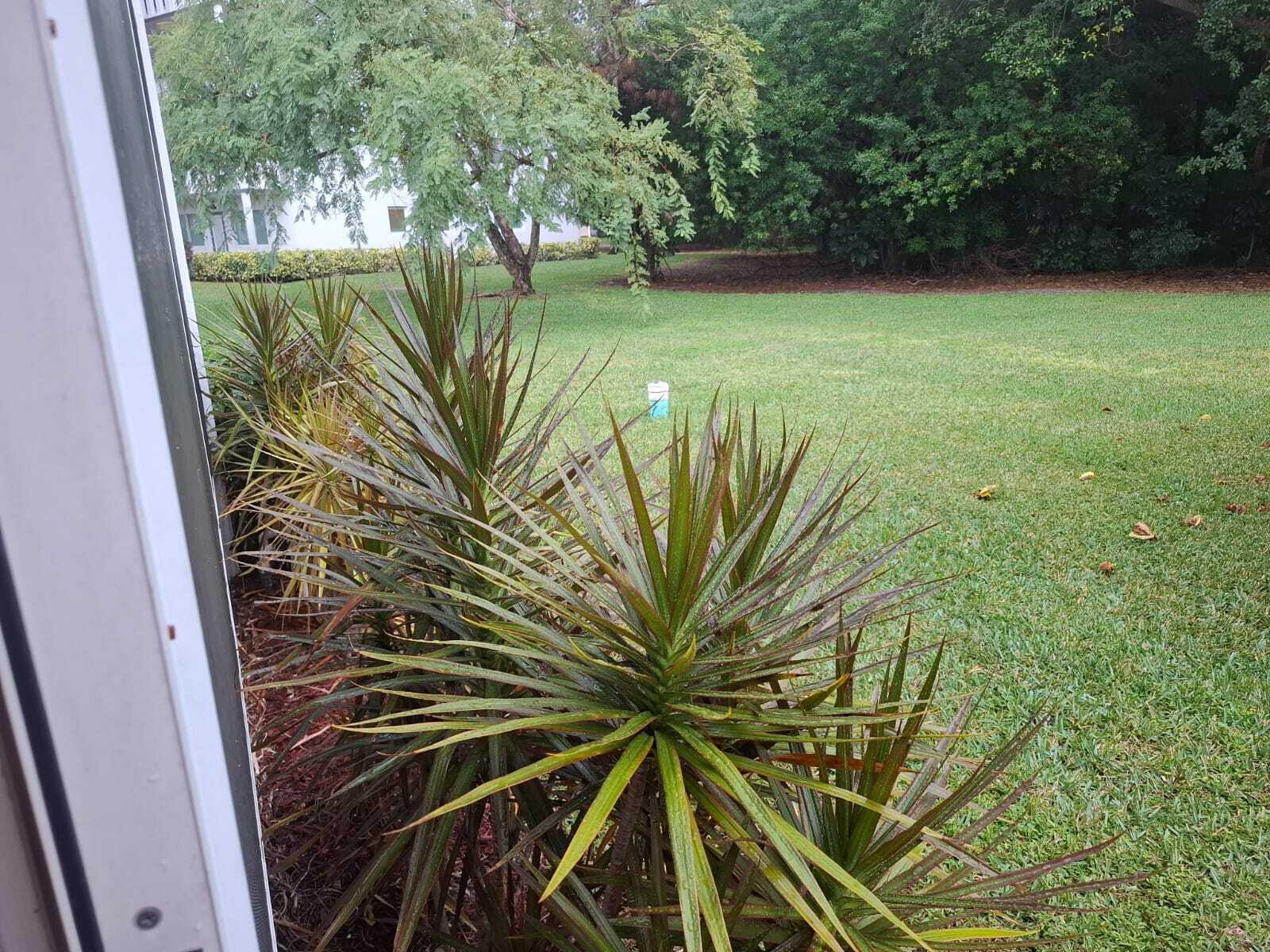 30 Oakridge C, Unit 30 Deerfield Beach, FL 33442 - Photo 5 of 12 a view of a yard with plants and wooden fence