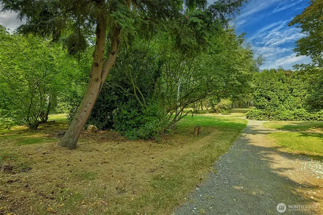 a view of a yard with a tree