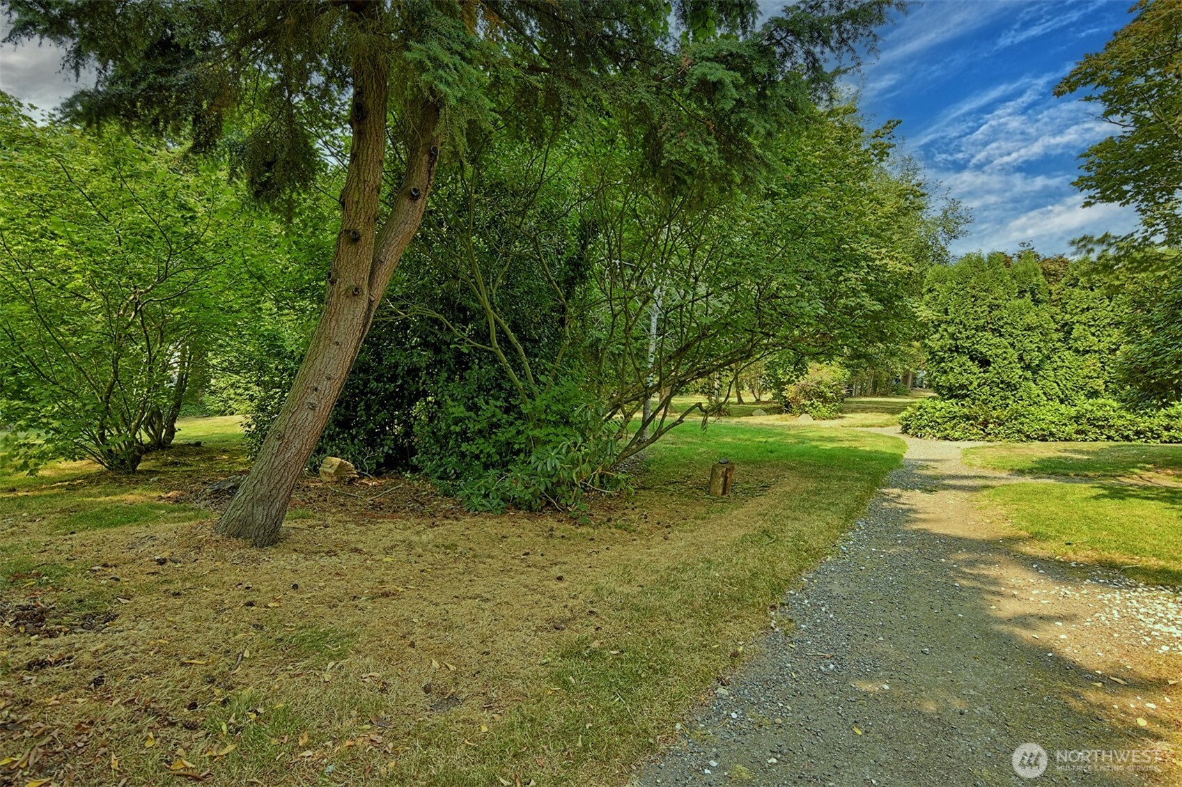 120 124th Street Southwest, Unit C8 Everett, WA 98204 - Photo 26 of 30 a view of a yard with a tree