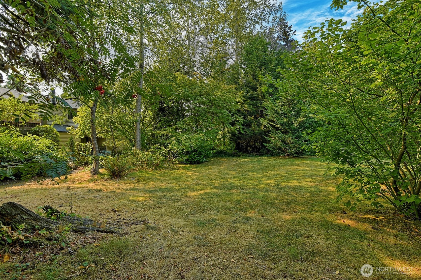 120 124th Street Southwest, Unit C8 Everett, WA 98204 - Photo 27 of 30 a view of a yard with a tree