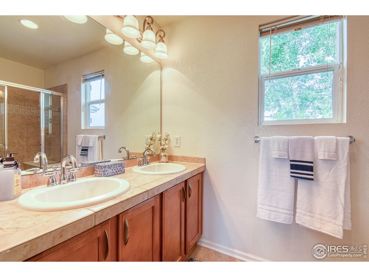 10462 Lower Ridge Road Longmont, CO 80504 - Photo 16 of 28 Gallery Image 16