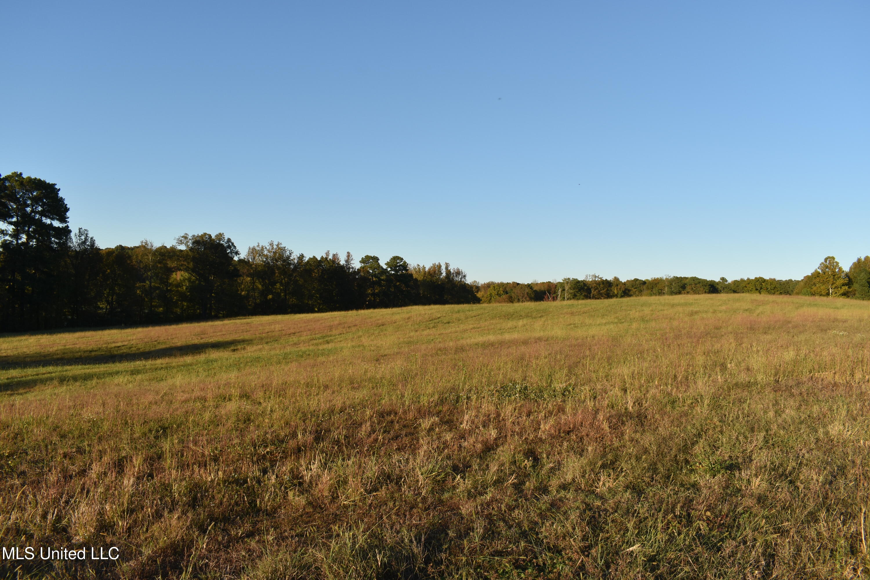 7 Peyton Road Holly Springs, MS 38635 - Photo 4 of 8 DSC_0654