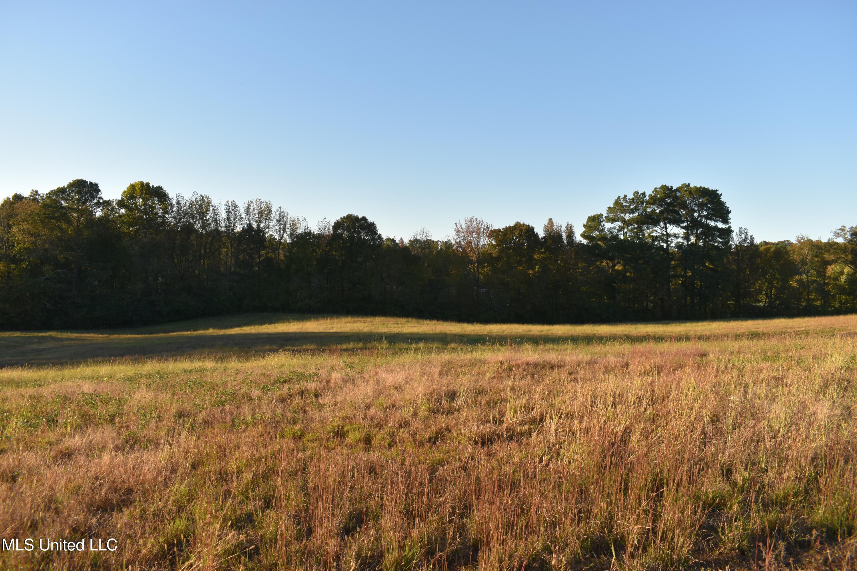 7 Peyton Road Holly Springs, MS 38635 - Photo 5 of 8 DSC_0656