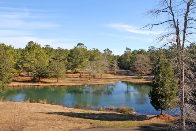 8462 Doar Road Awendaw, SC 29429 - Photo 37 of 42 8462 Doar Rd (30)0030