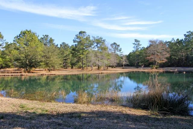 8462 Doar Road Awendaw, SC 29429 - Photo 38 of 42 8462 Doar Rd (38)0038