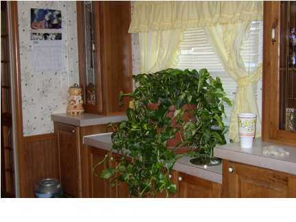209 South Gentilly Road Lafayette, LA 70507 - Photo 4 of 8 Additional Photo