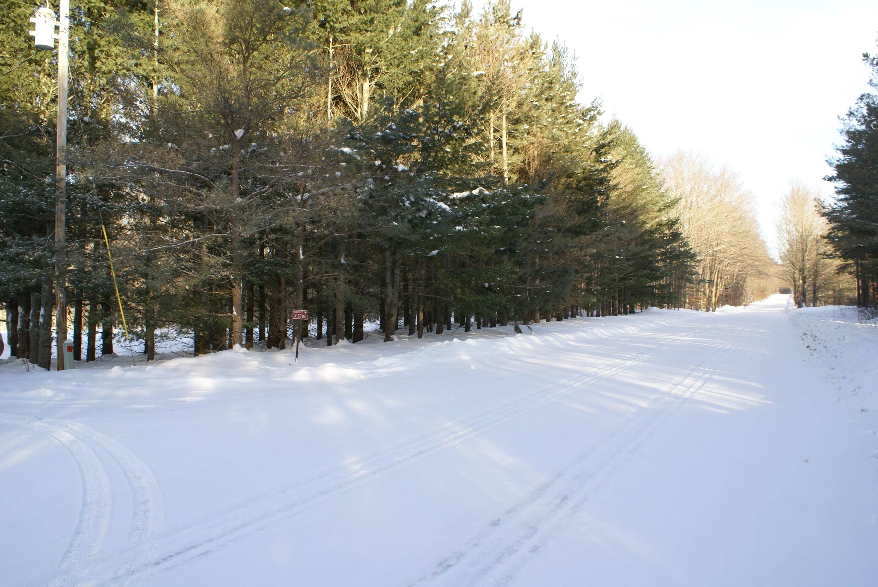 5780 North Webb Road Hessel, MI 49745 - Photo 49 of 50 Gallery Image 49