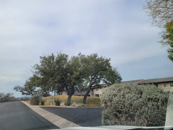 a view of a yard with plants and a bench