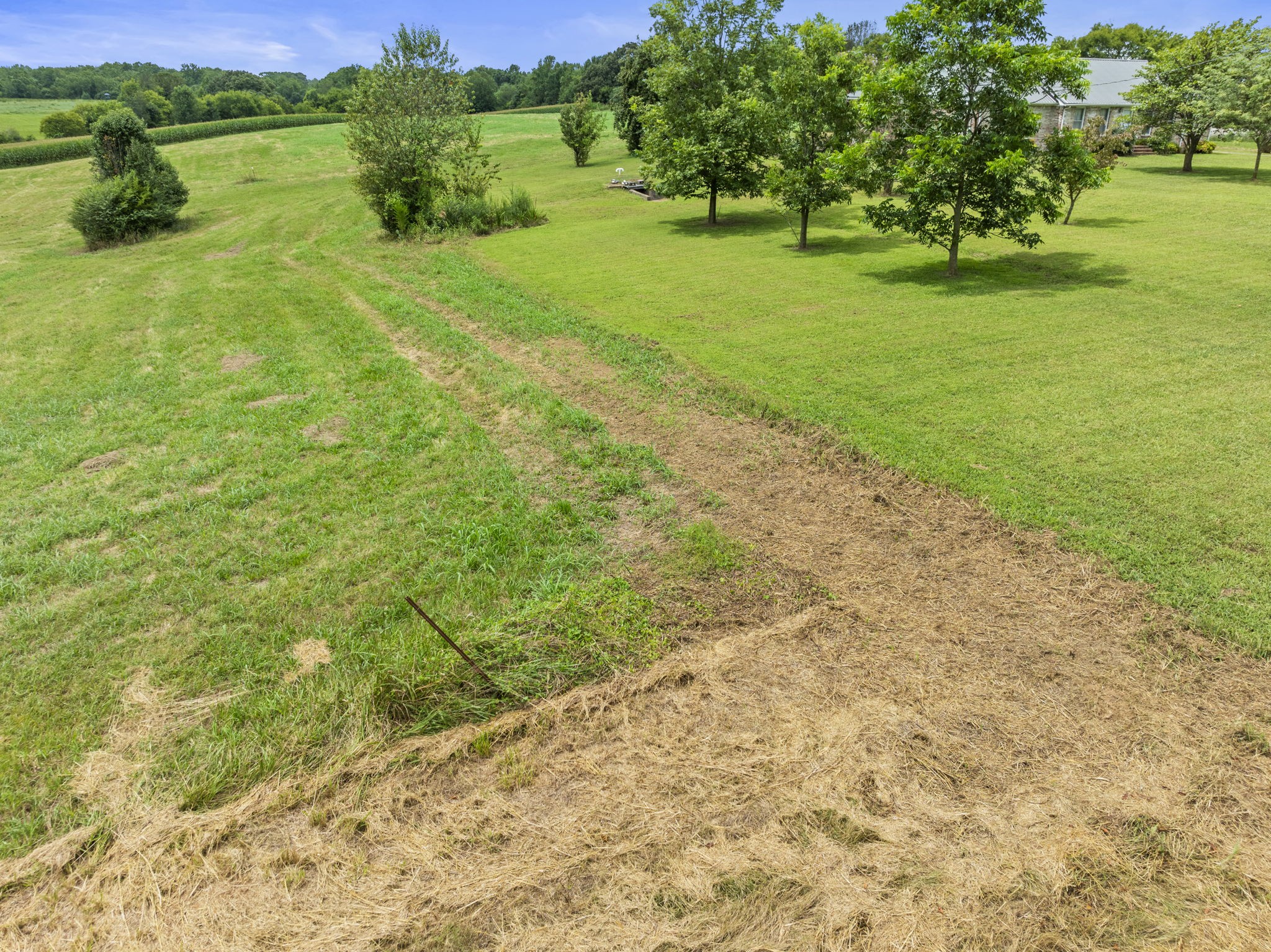 161 Stewarts Chapel Road Flintville, TN 37335 - Photo 11 of 39 a view of an outdoor space and a yard