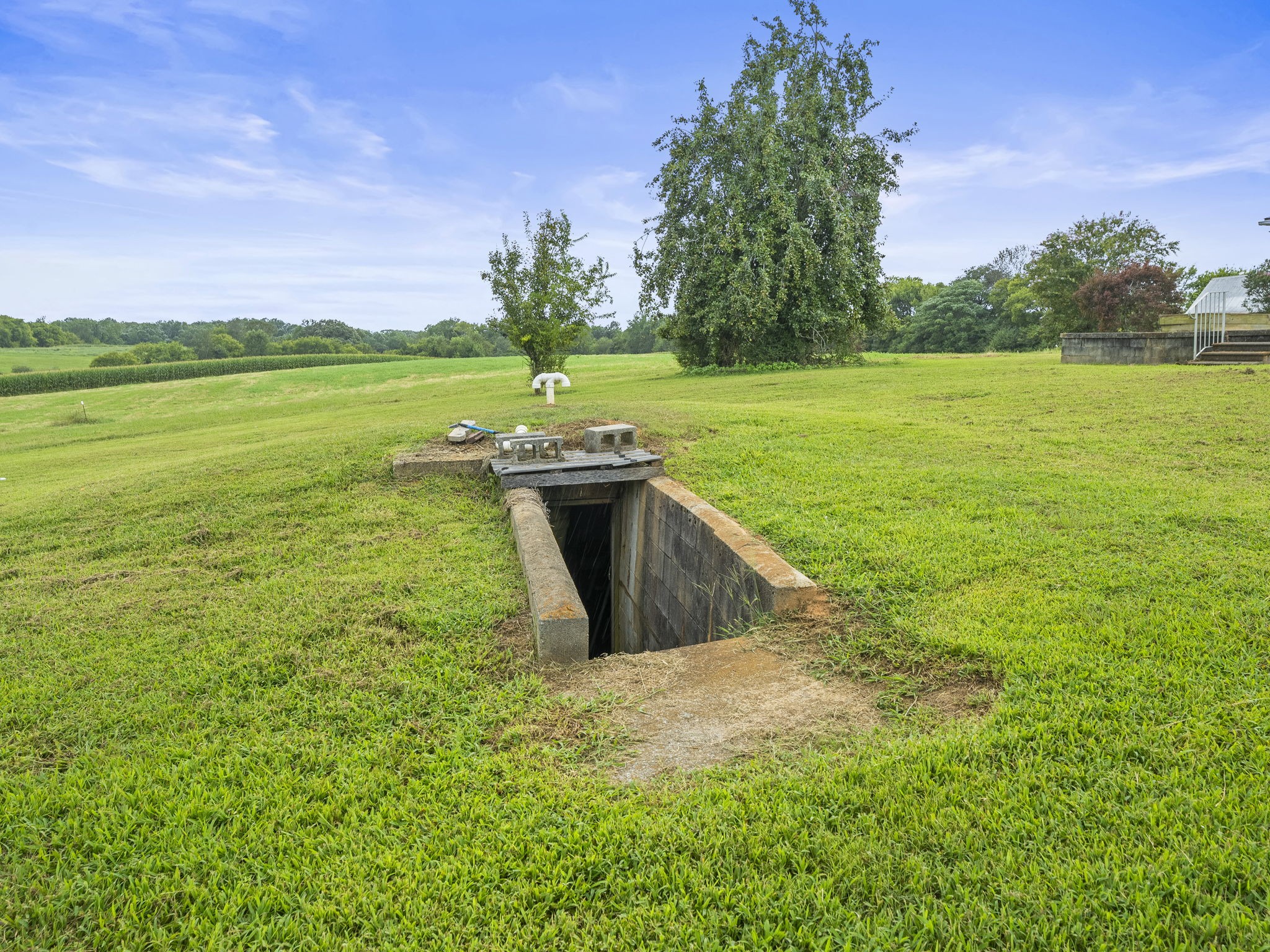 161 Stewarts Chapel Road Flintville, TN 37335 - Photo 14 of 39 a view of a garden with a lake