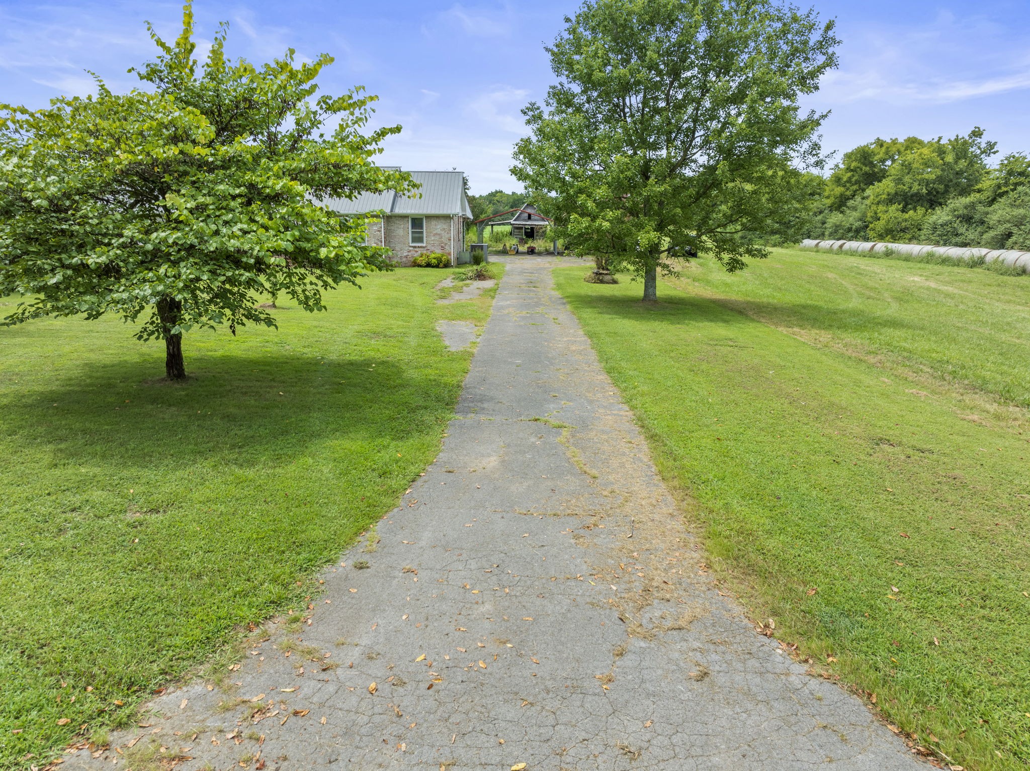161 Stewarts Chapel Road Flintville, TN 37335 - Photo 3 of 39 a view of a park with large trees