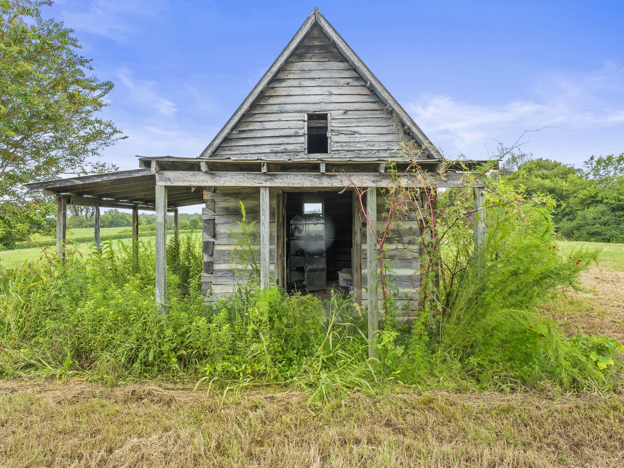 161 Stewarts Chapel Road Flintville, TN 37335 - Photo 8 of 39 a view of a house with garden