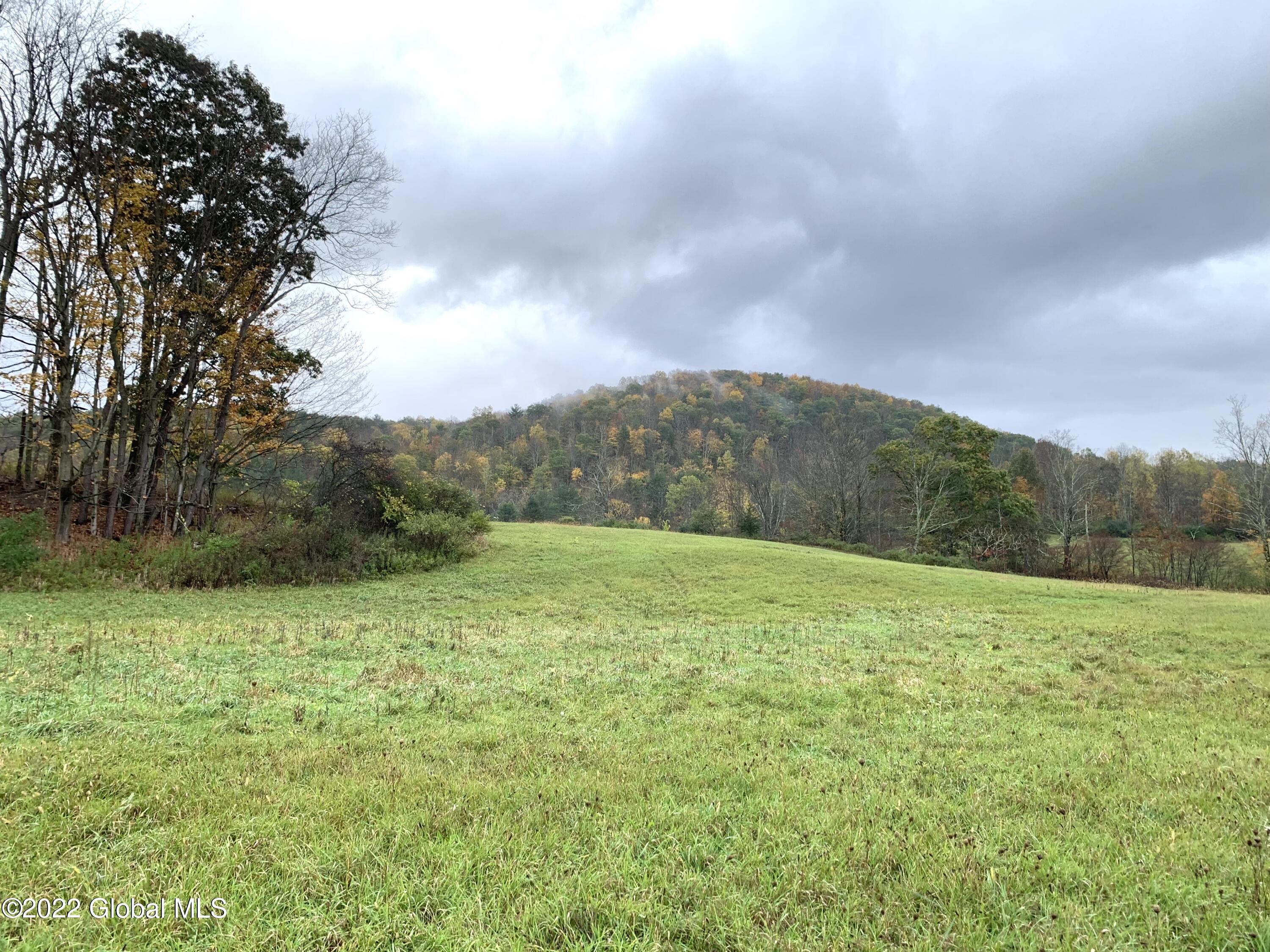 Lot 1 County Rt 64 Shushan, NY 12873 - Photo 12 of 20 Lot 1 island and view