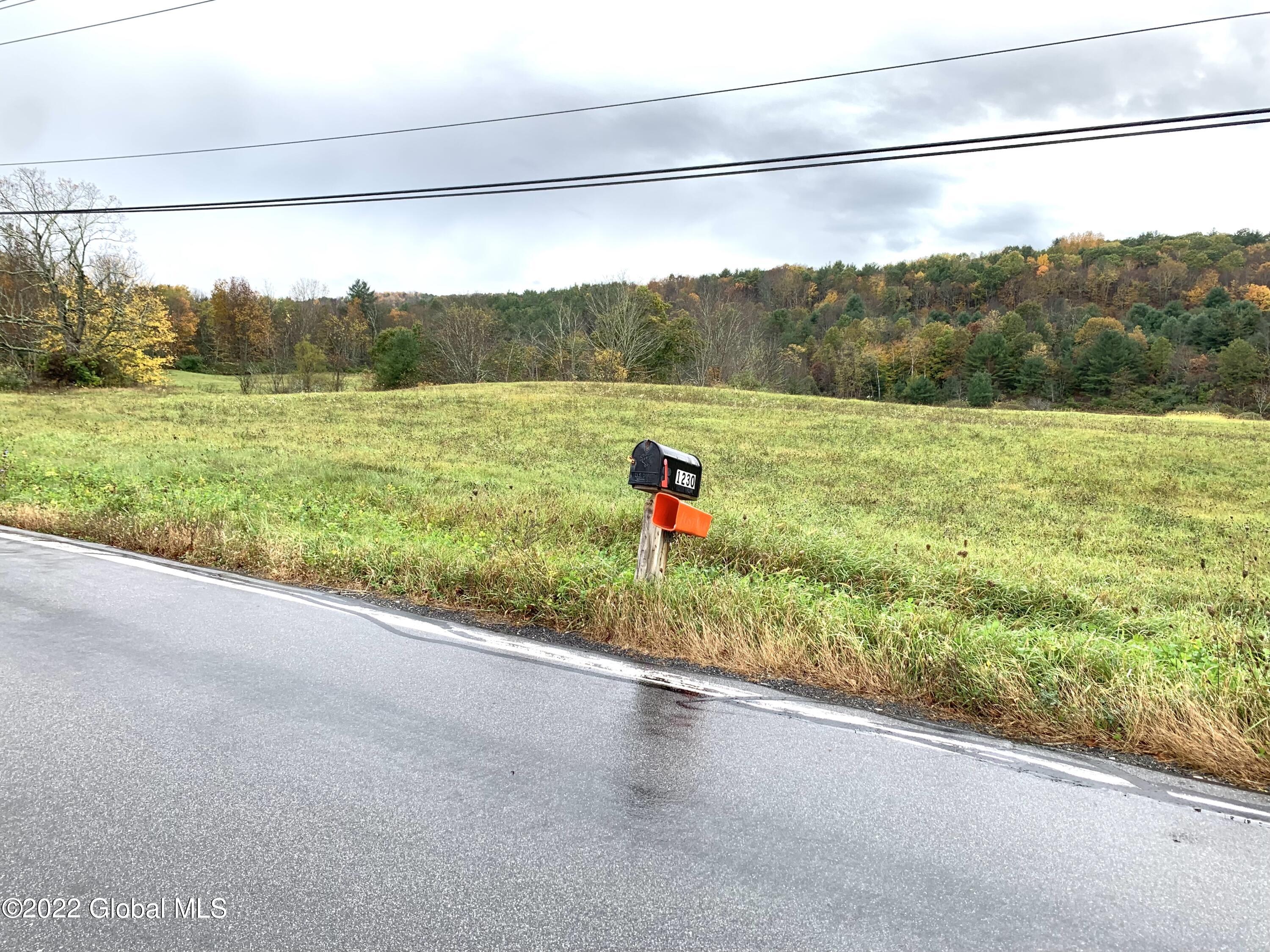Lot 1 County Rt 64 Shushan, NY 12873 - Photo 13 of 20 Lot 1 toward mailbox 2