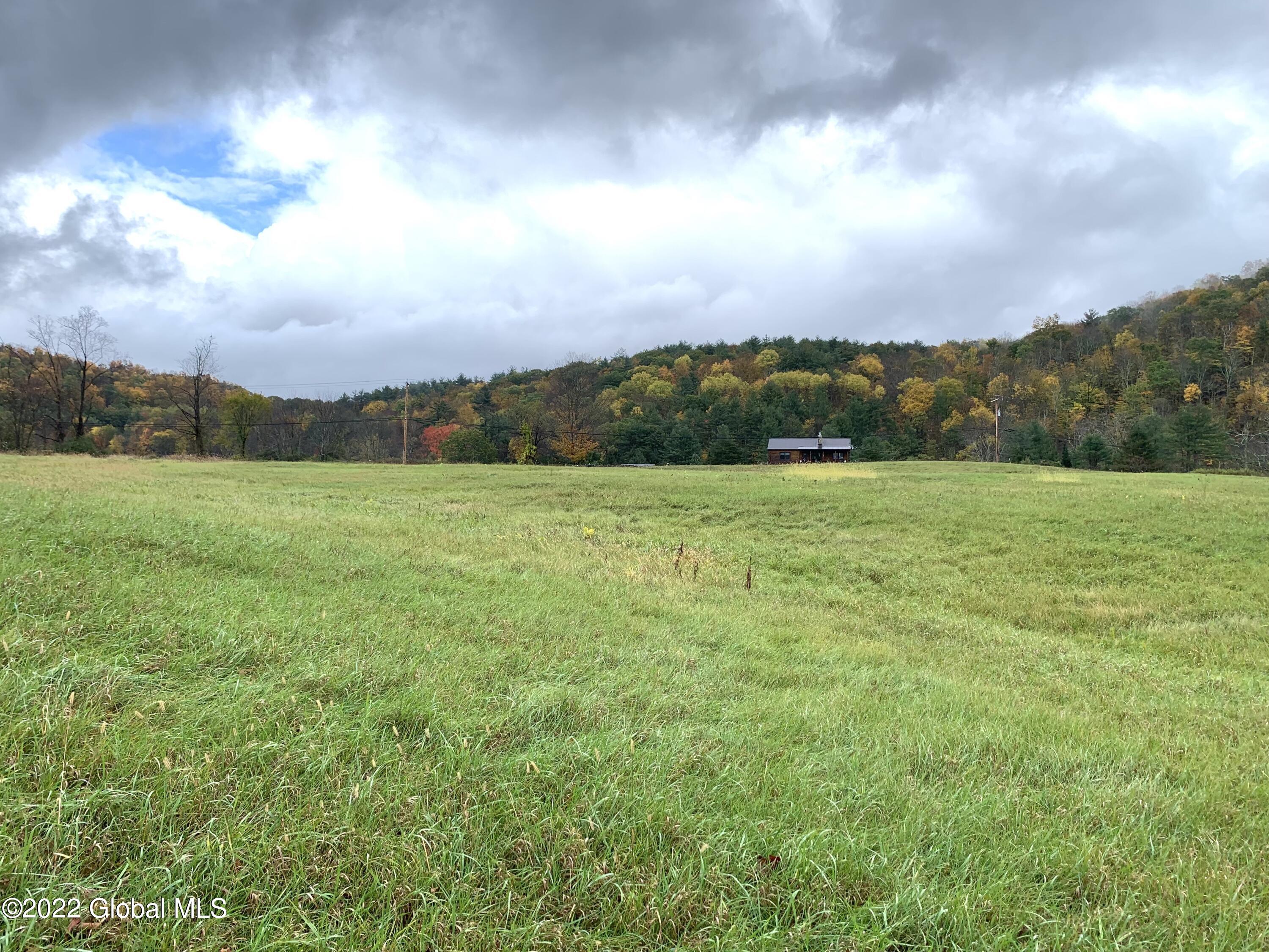 Lot 1 County Rt 64 Shushan, NY 12873 - Photo 14 of 20 Lot 1 towards house across the road