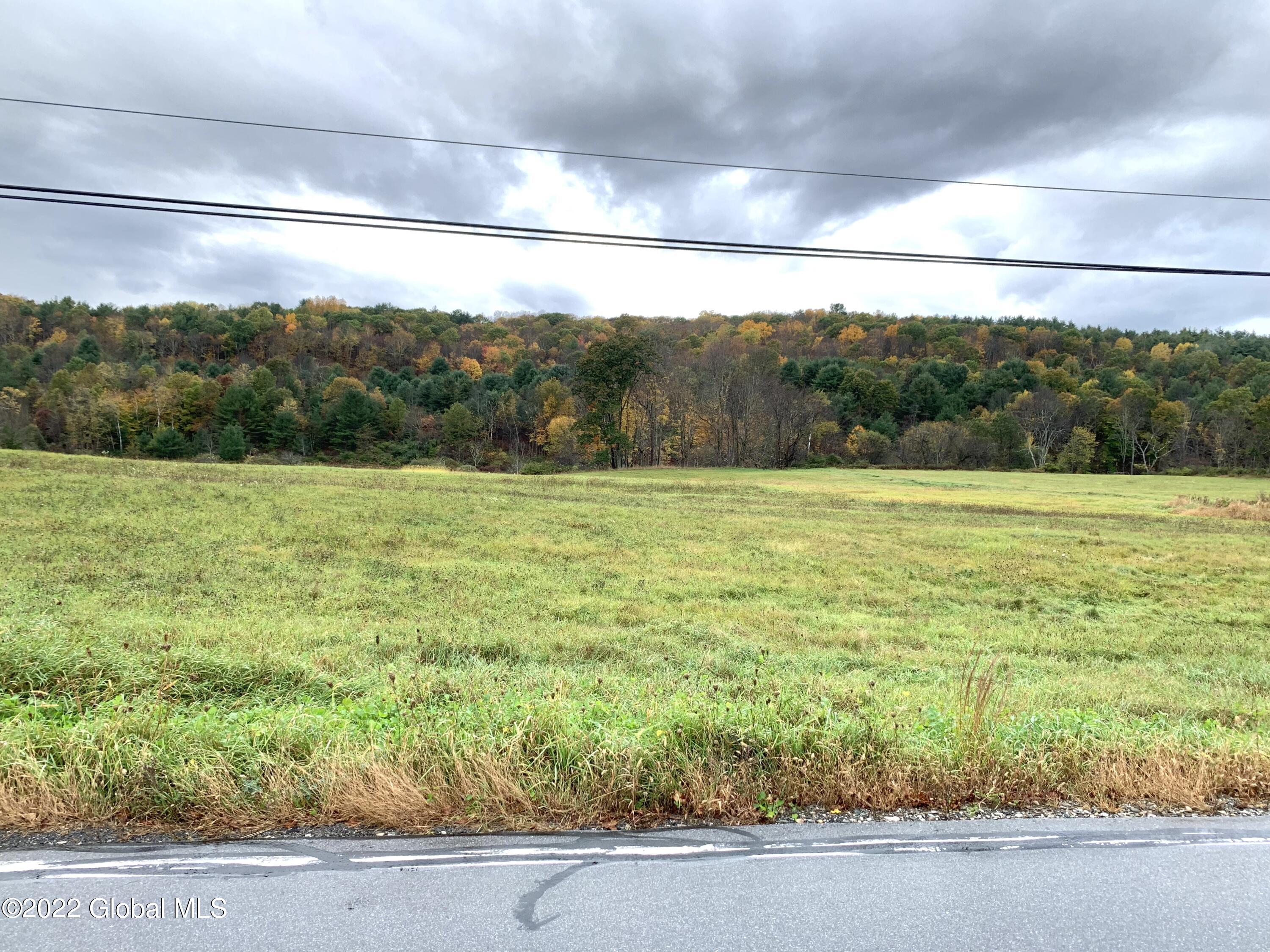 Lot 1 County Rt 64 Shushan, NY 12873 - Photo 15 of 20 Lot 1 towards lot