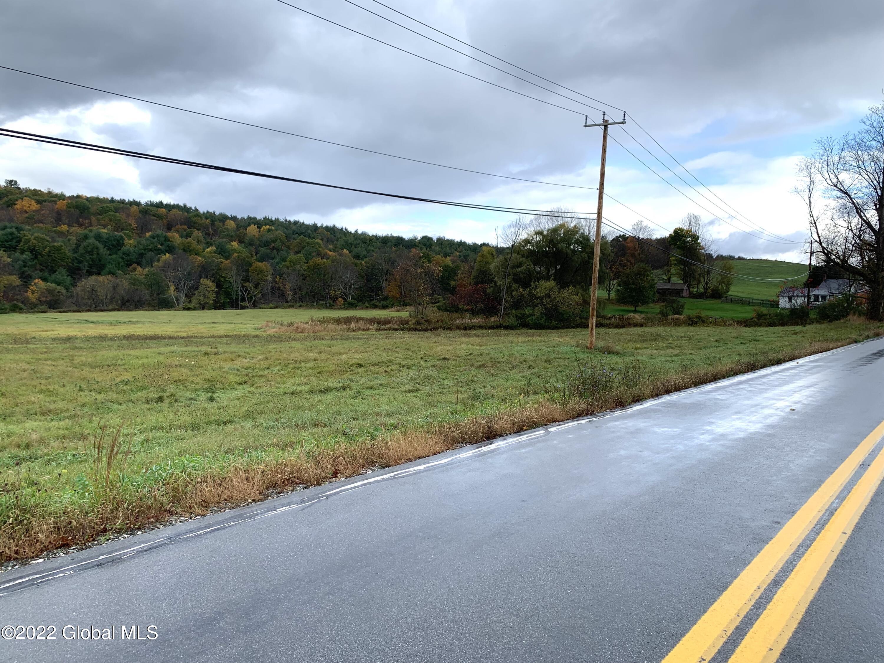 Lot 1 County Rt 64 Shushan, NY 12873 - Photo 17 of 20 Lot 1 towards lot and power lines