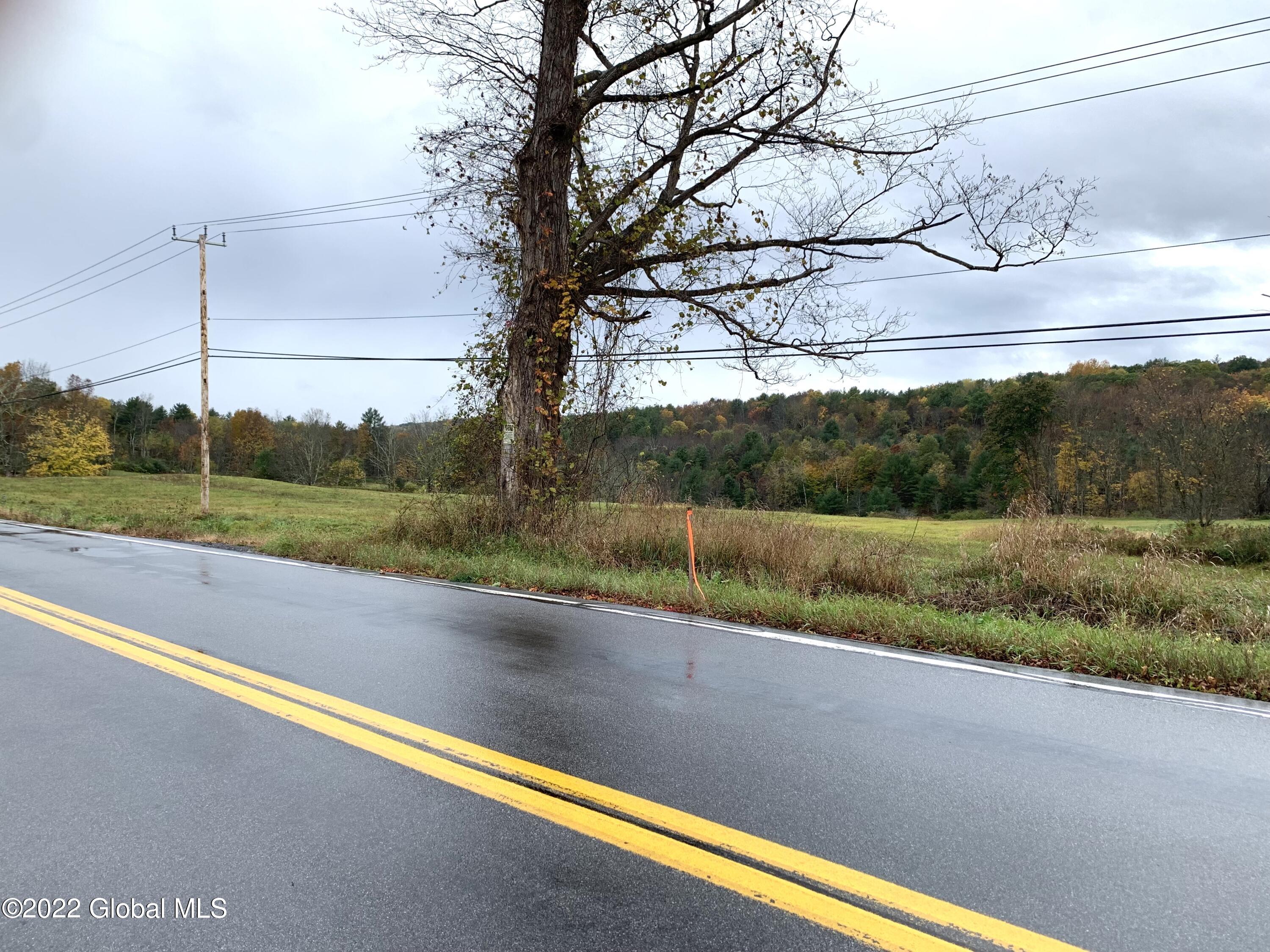 Lot 1 County Rt 64 Shushan, NY 12873 - Photo 18 of 20 Lot 1 towards lot and power lines b