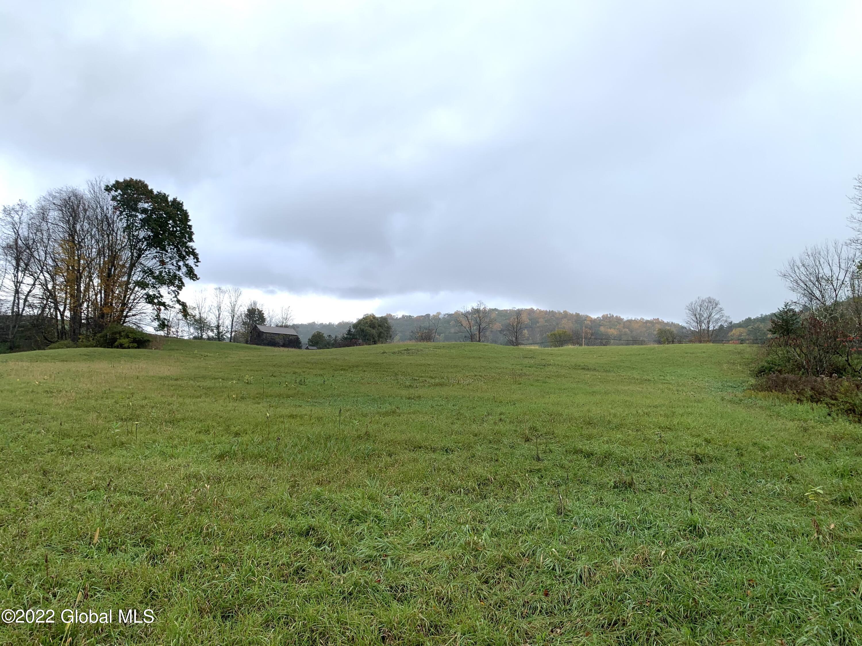 Lot 1 County Rt 64 Shushan, NY 12873 - Photo 19 of 20 Lot 1 towards road 2