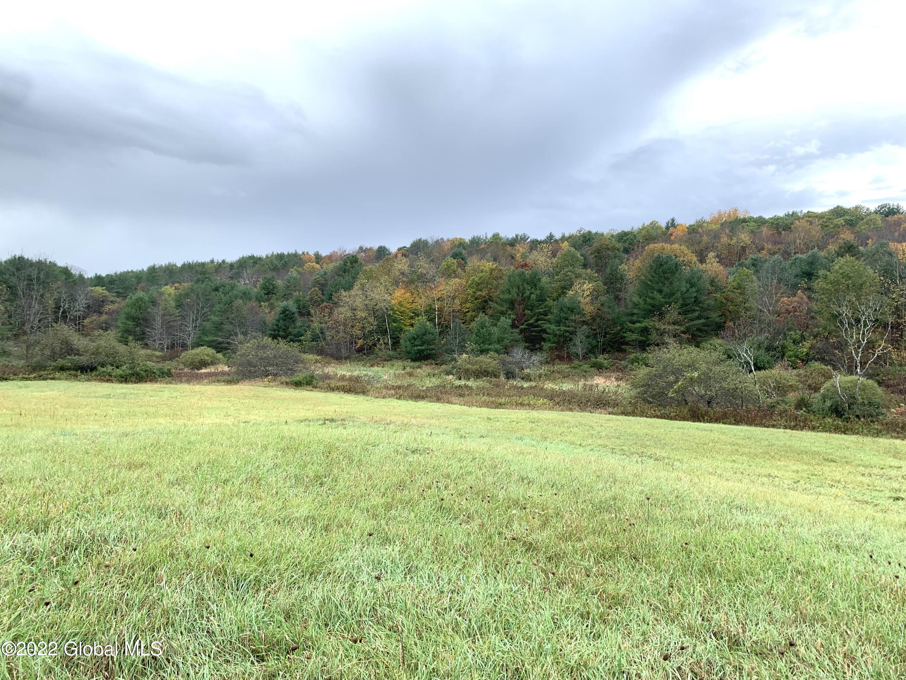 Lot 1 County Rt 64 Shushan, NY 12873 - Photo 20 of 20 Lot 1 towards woods and brook
