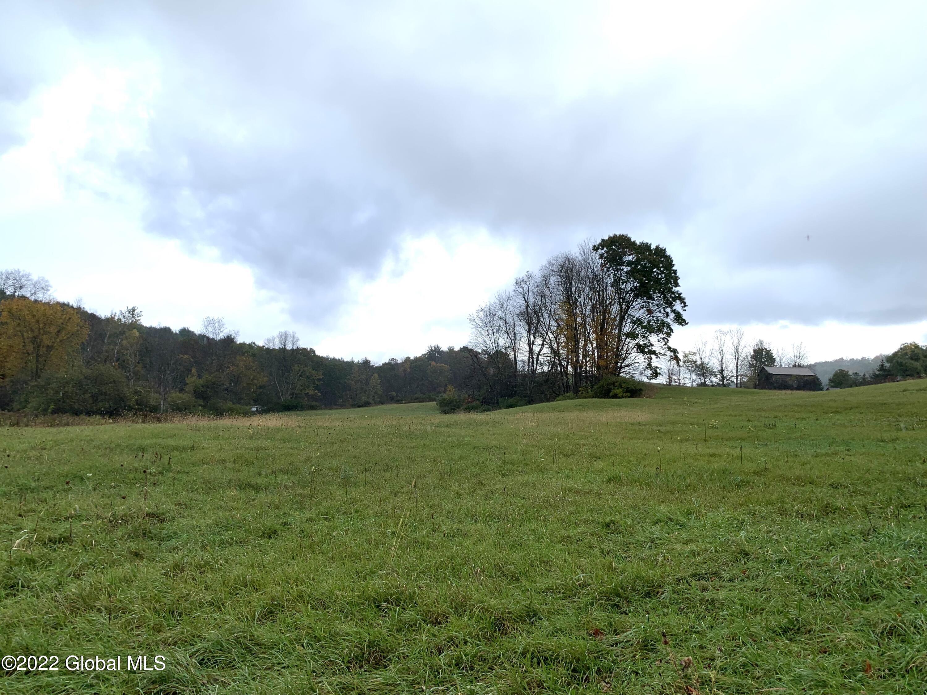 Lot 1 County Rt 64 Shushan, NY 12873 - Photo 5 of 20 Lot 1 across field