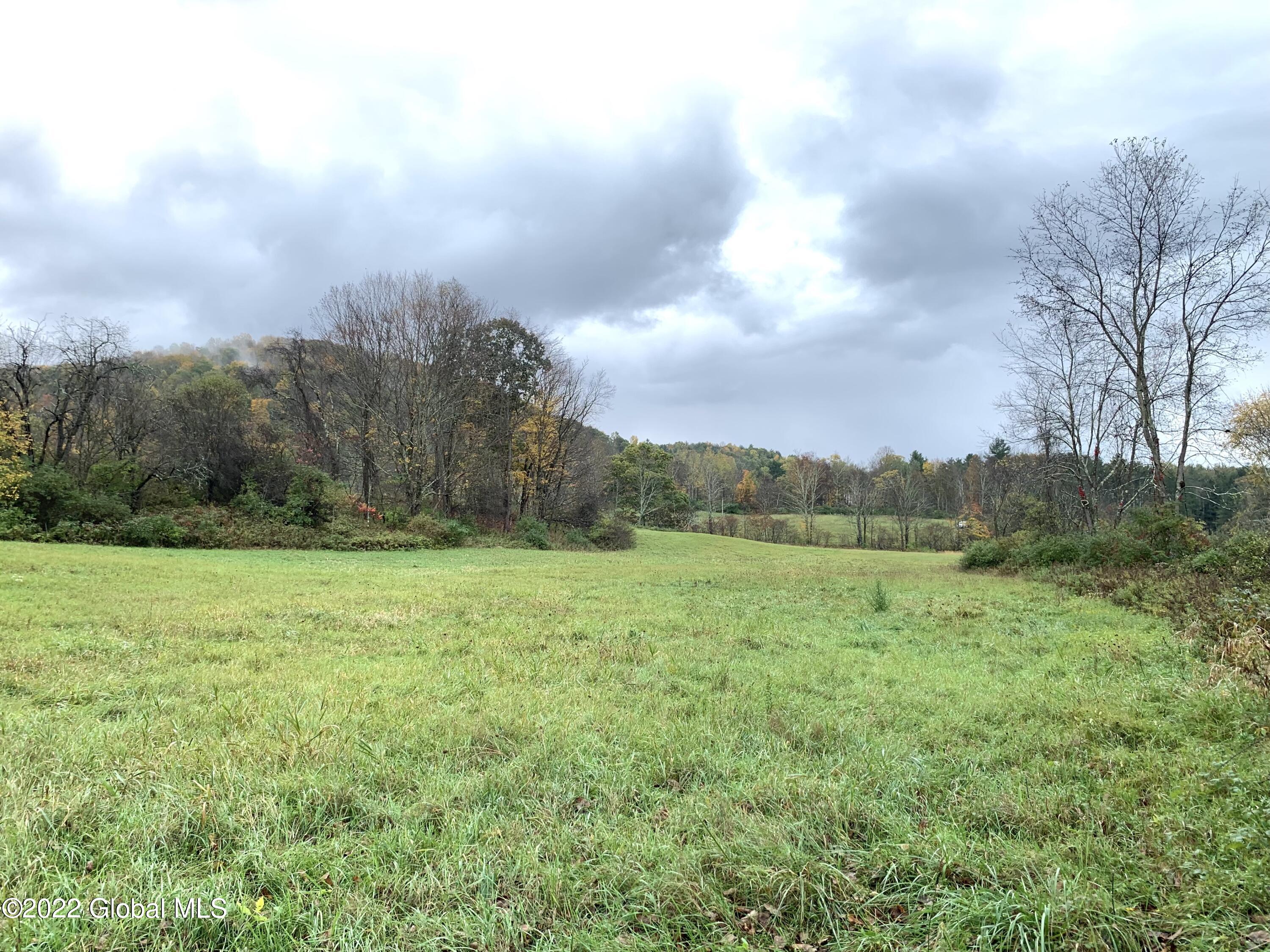 Lot 1 County Rt 64 Shushan, NY 12873 - Photo 6 of 20 Lot 1 across field 2