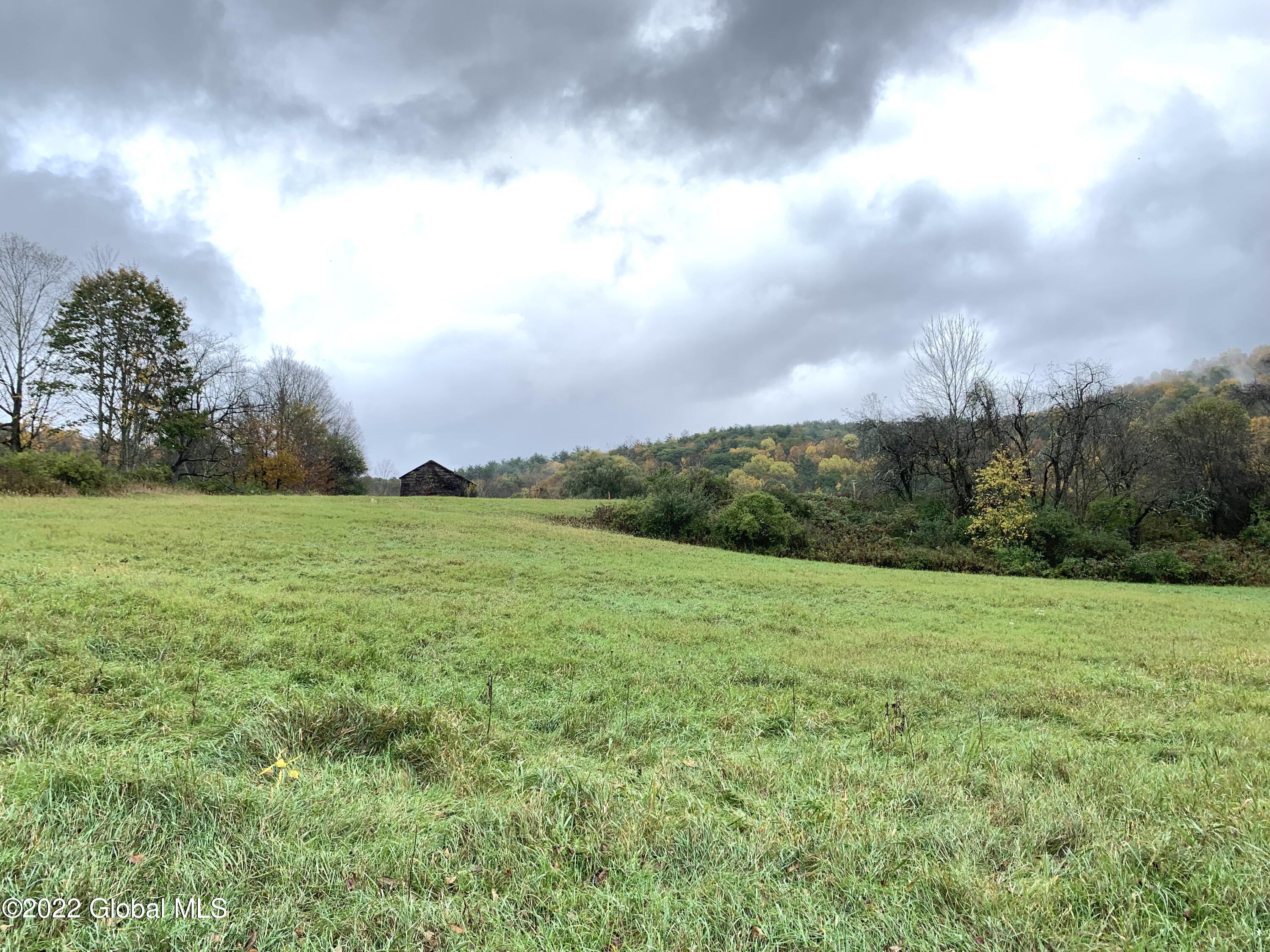 Lot 1 County Rt 64 Shushan, NY 12873 - Photo 7 of 20 Lot 1 across field 3