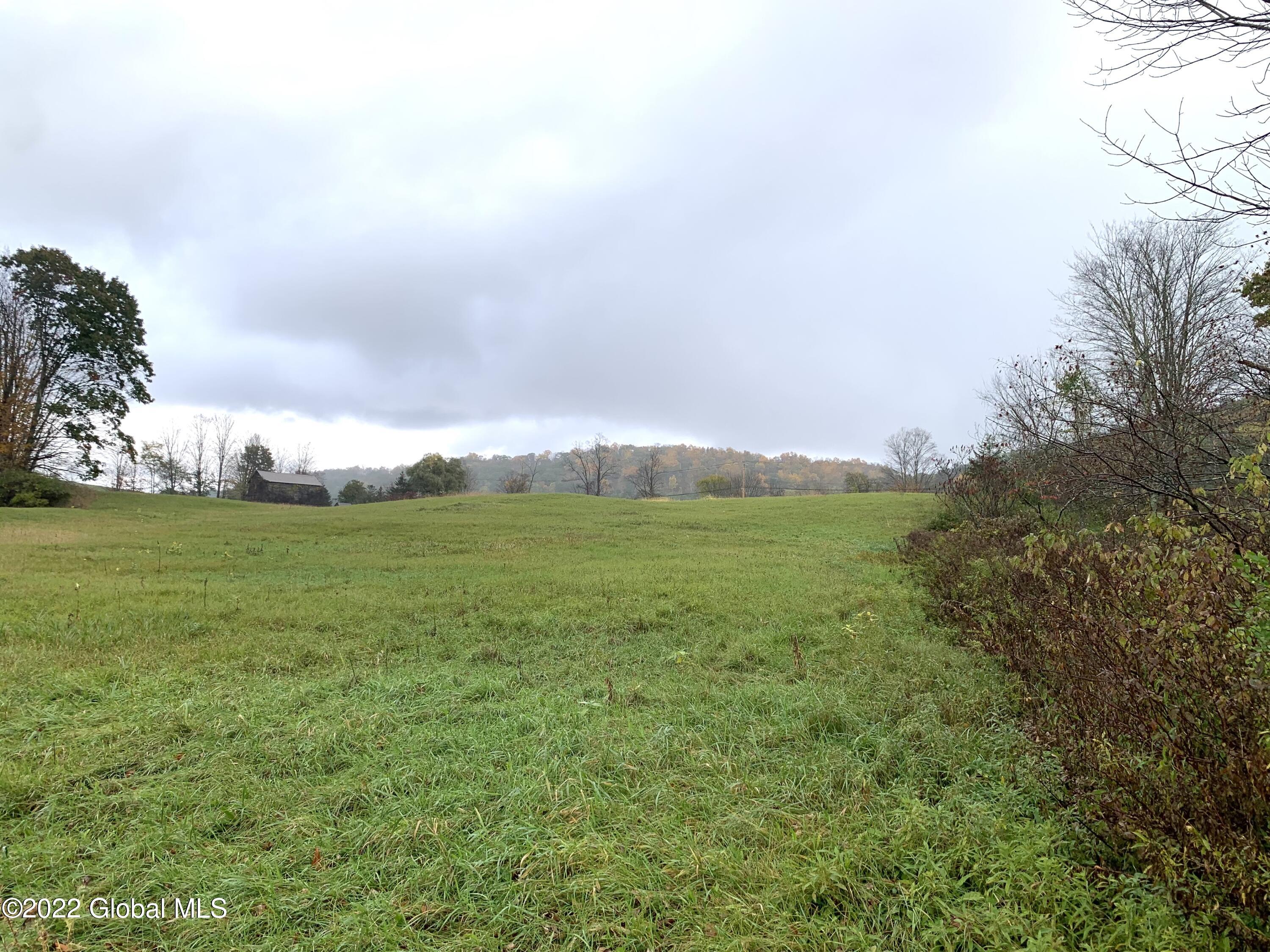 Lot 1 County Rt 64 Shushan, NY 12873 - Photo 8 of 20 Lot 1 along line towards bar