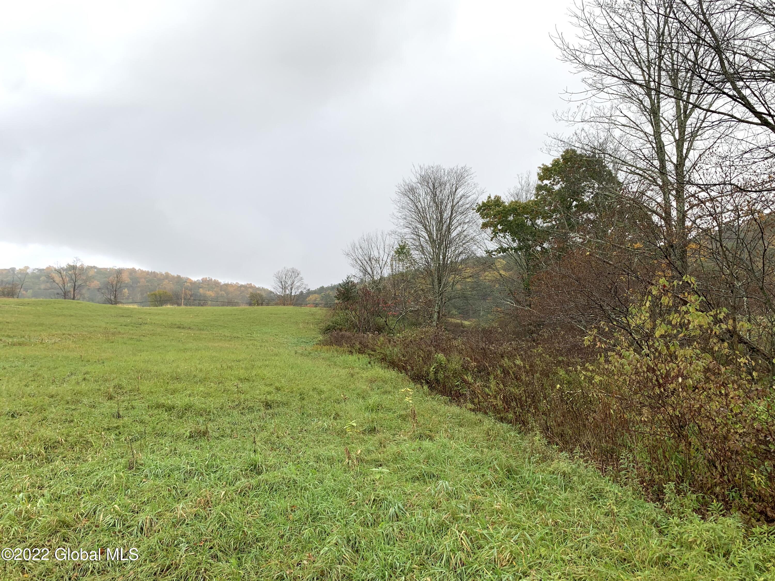 Lot 1 County Rt 64 Shushan, NY 12873 - Photo 9 of 20 Lot 1 along line towards road