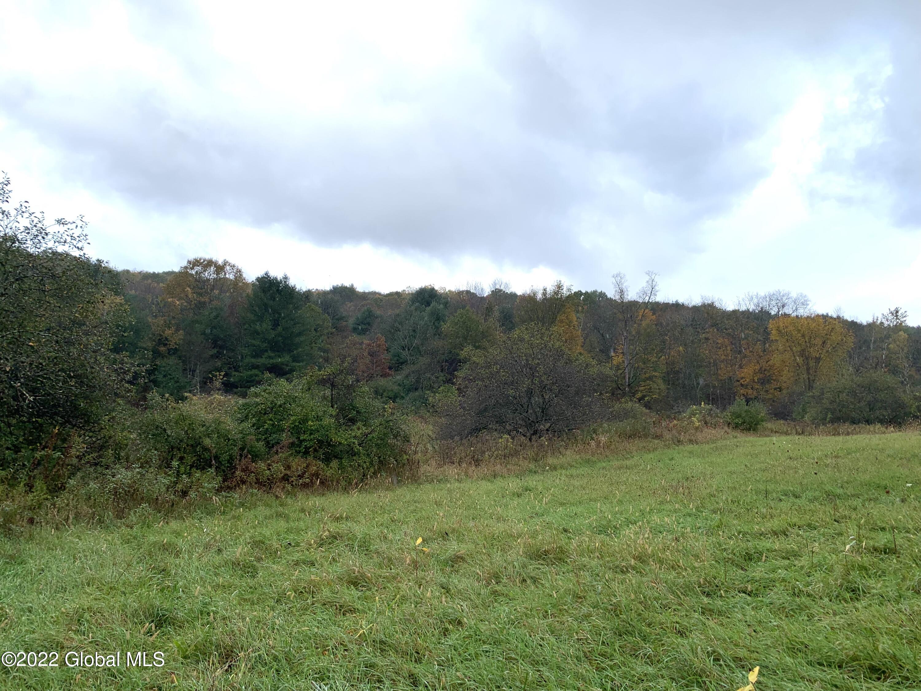 Lot 1 County Rt 64 Shushan, NY 12873 - Photo 10 of 20 Lot 1 bottom of field
