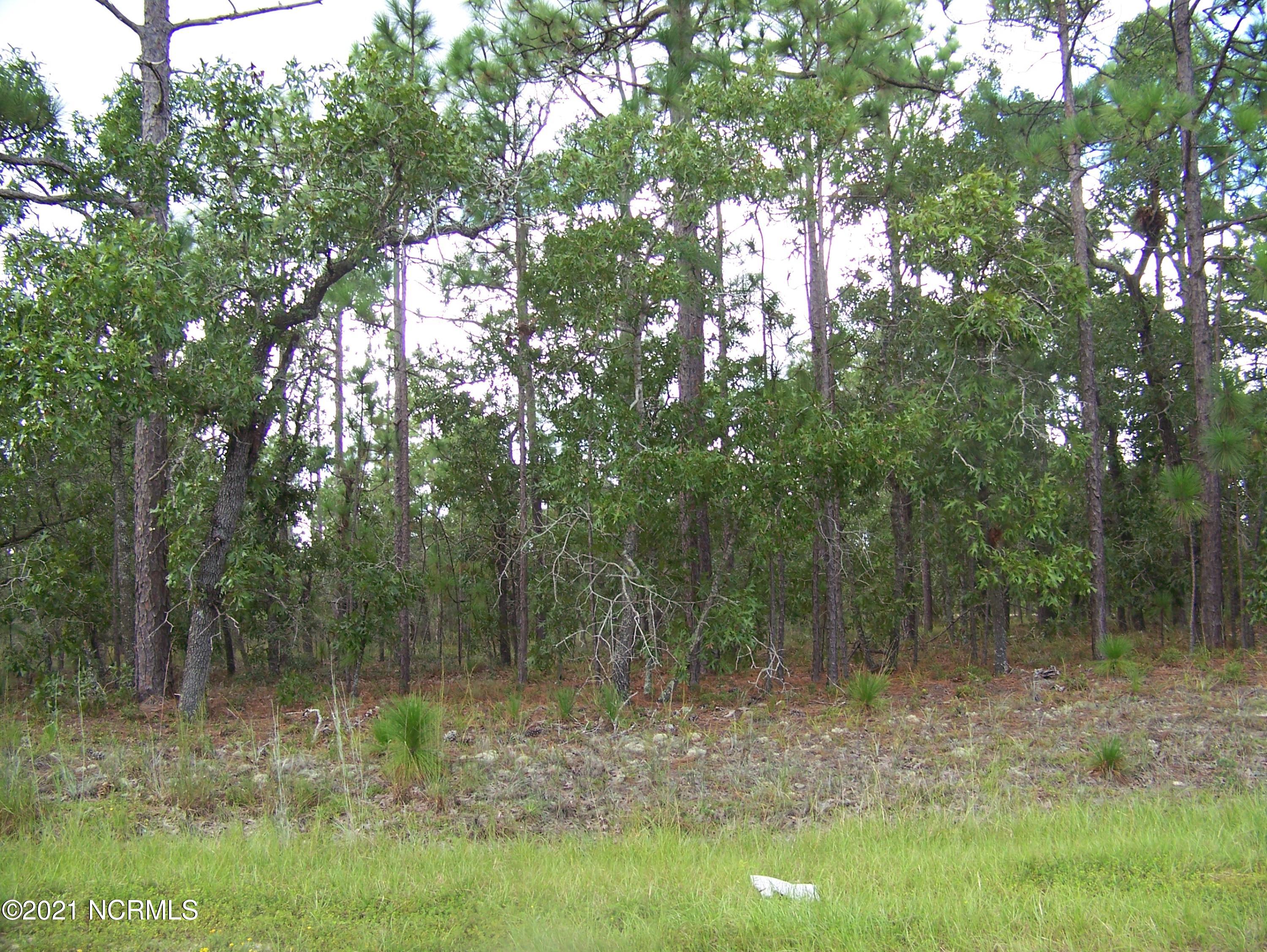 771-781 Hunters Road Southport, NC 28461 - Photo 1 of 1 wooded
