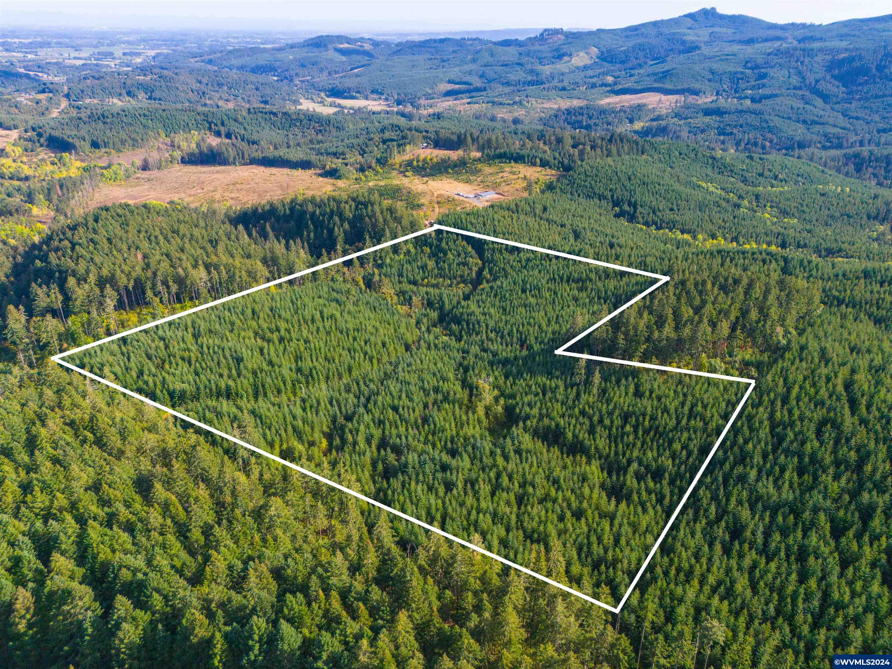 0 Northwest Meadowlake Road Yamhill, OR 97148 - Photo 1 of 14
