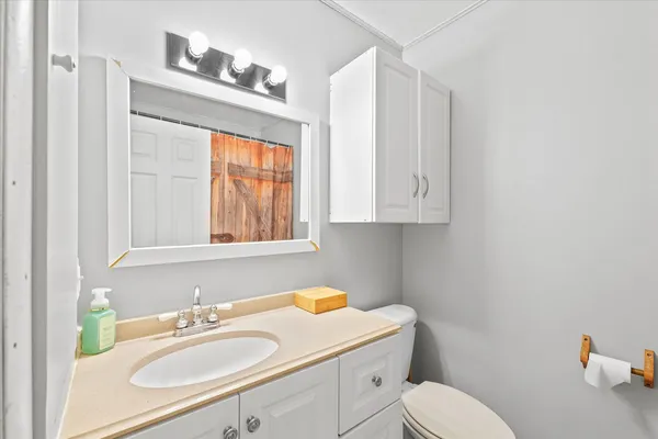 a bathroom with a sink toilet vanity and mirror
