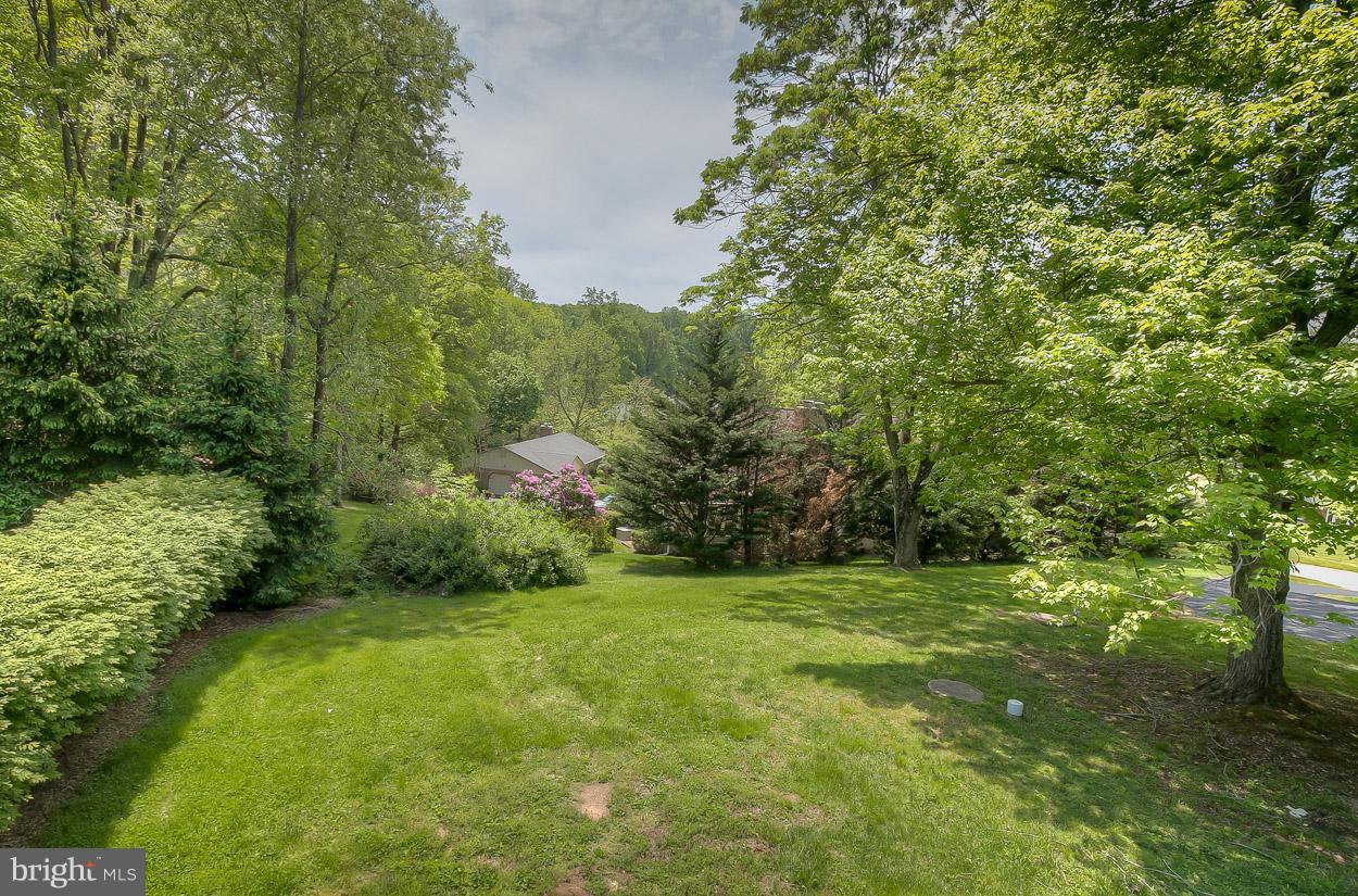 2801 Page Court Fallston, MD 21047 - Photo 4 of 30 a view of a grassy field with trees