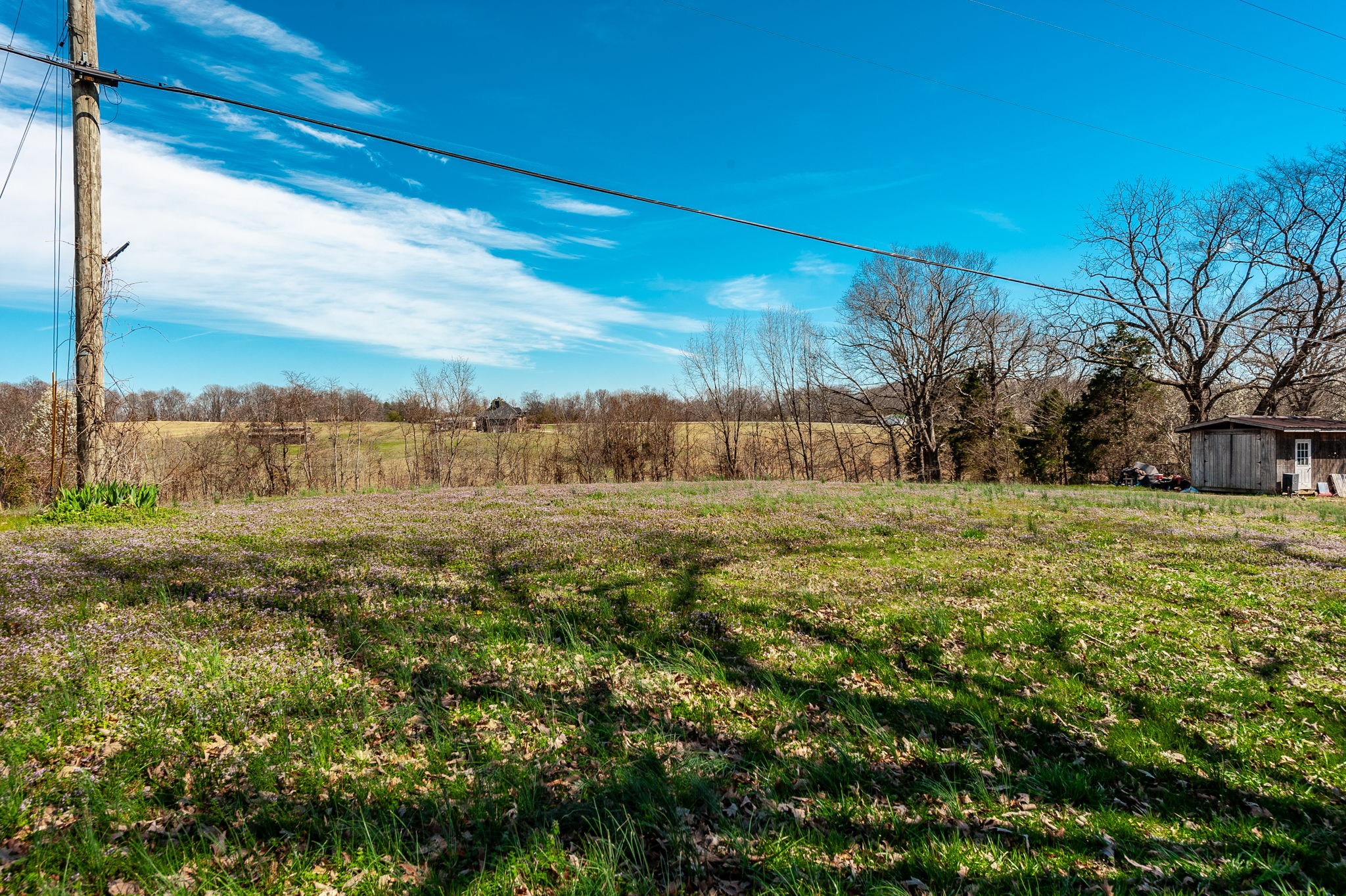 1711 Belotes Ferry Road Lebanon, TN 37087 - Photo 6 of 51 Gallery Image 6
