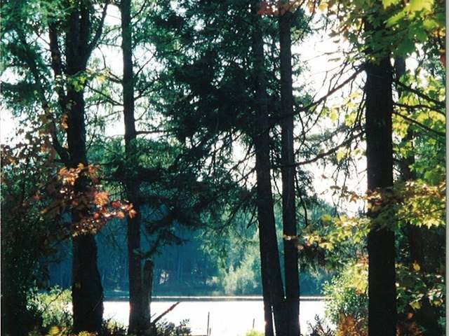 1771 Lake Road Rhinelander, WI 54501 - Photo 2 of 19 Gallery Image 2