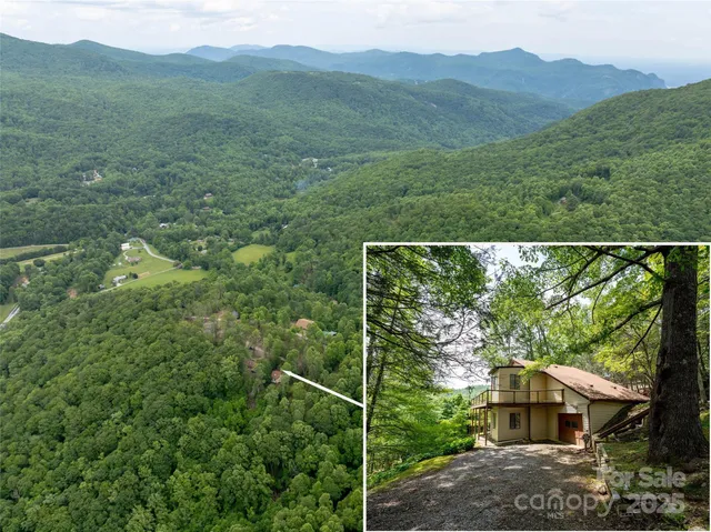 a view of a house with a yard and a forest