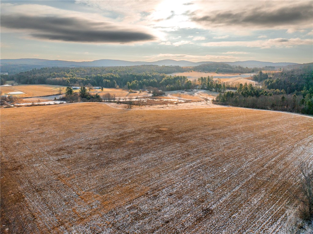 141 Bettsburgh Road Colesville, NY 13813 - Photo 4 of 16