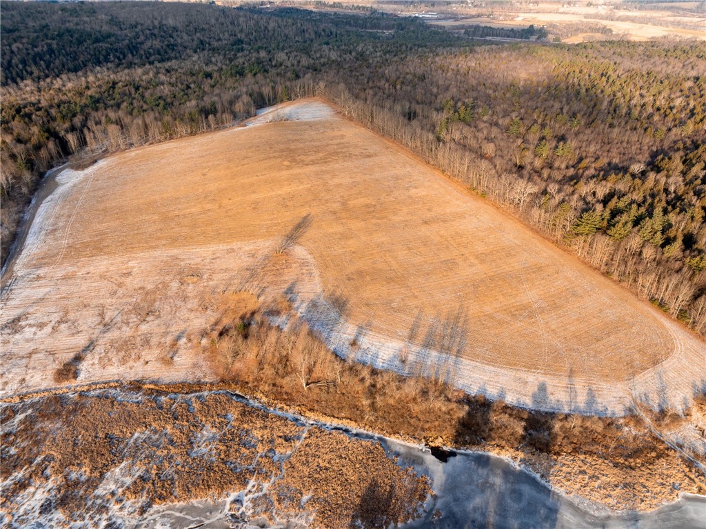 141 Bettsburgh Road Colesville, NY 13813 - Photo 6 of 16