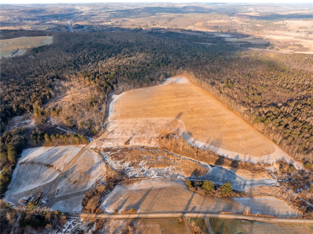 141 Bettsburgh Road Colesville, NY 13813 - Photo 7 of 16