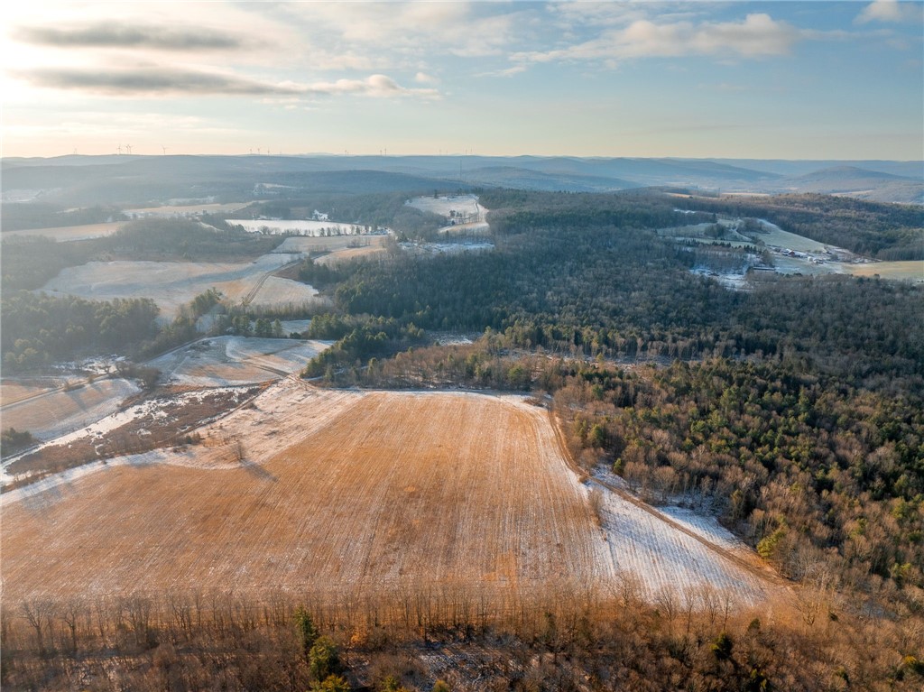 141 Bettsburgh Road Colesville, NY 13813 - Photo 10 of 16